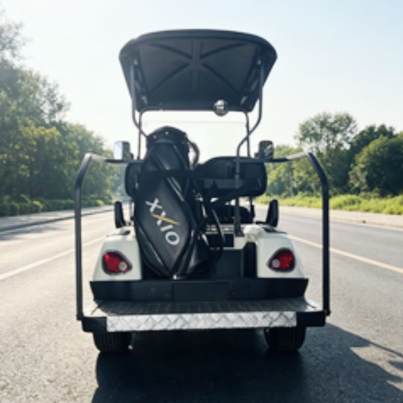2026 New Launched 2 Seat 72V L - Golf Bag Stand Cart review and price