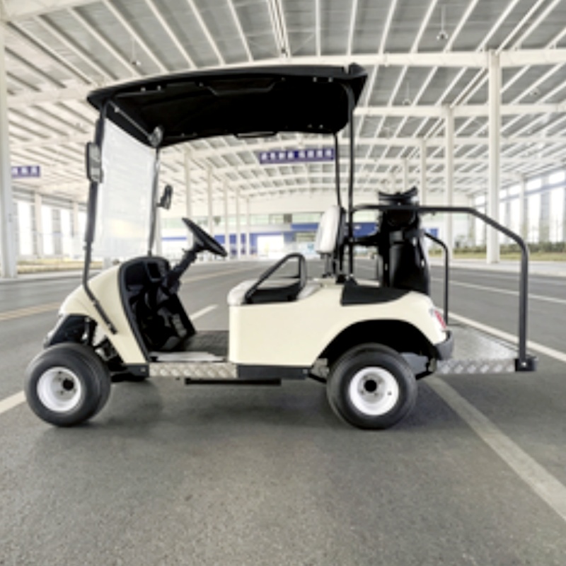 2026 New Launched 2 Seat 72V L - Golf Bag Stand Cart review and price
