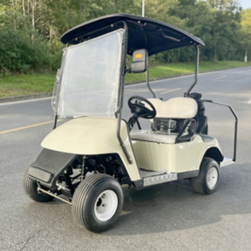 2026 New Launched 2 Seat 72V L - Golf Bag Stand Cart review and price