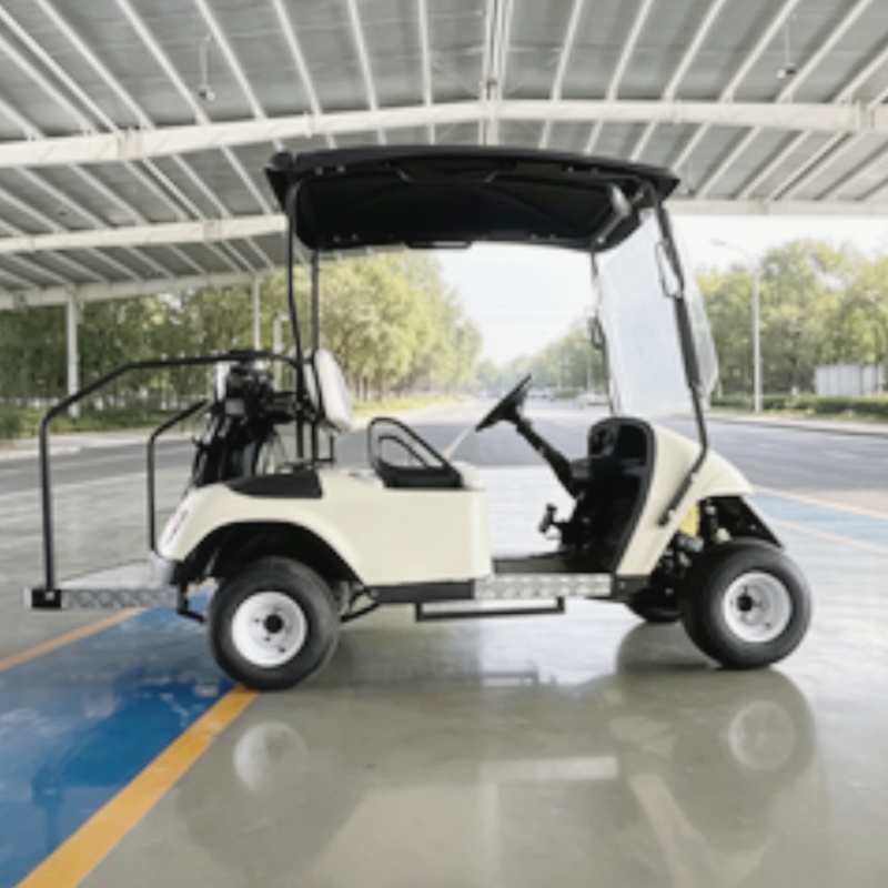 2026 New Launched 2 Seat 72V L - Golf Bag Stand Cart review and price