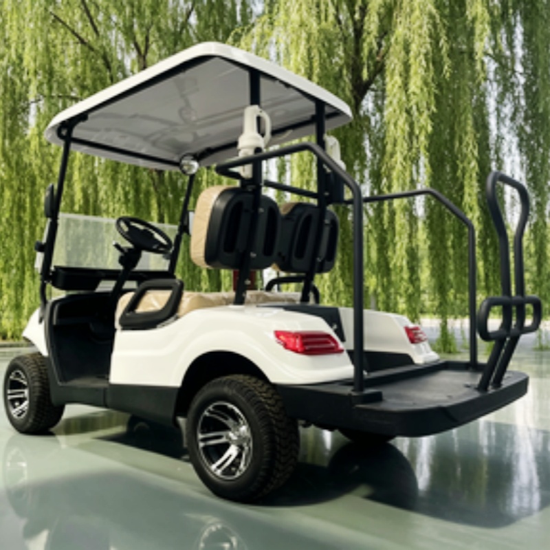 China Electric Golf Cart Lithi - Golf Bag Stand Cart review and price