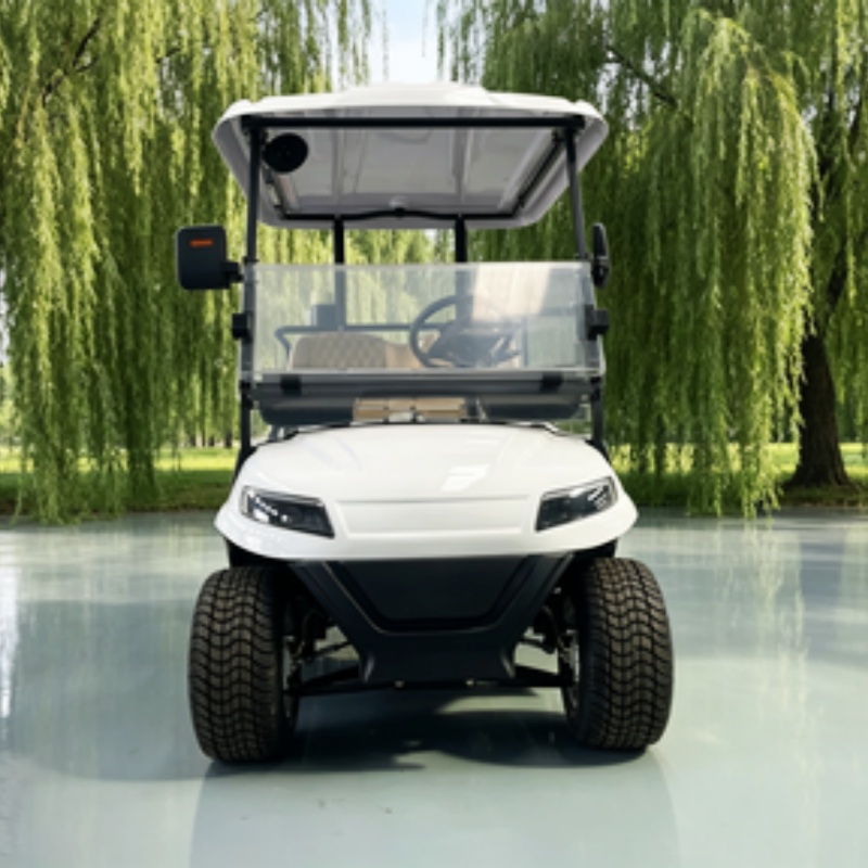 China Electric Golf Cart Lithi - Golf Bag Stand Cart review and price