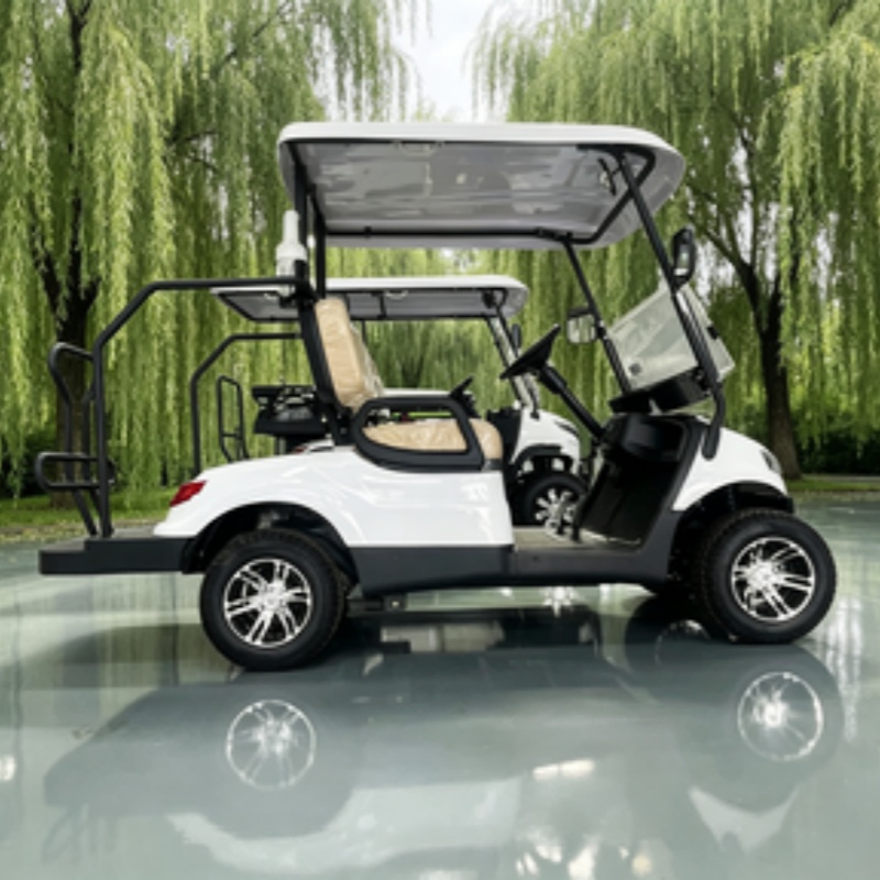 China Electric Golf Cart Lithi - Golf Bag Stand Cart review and price