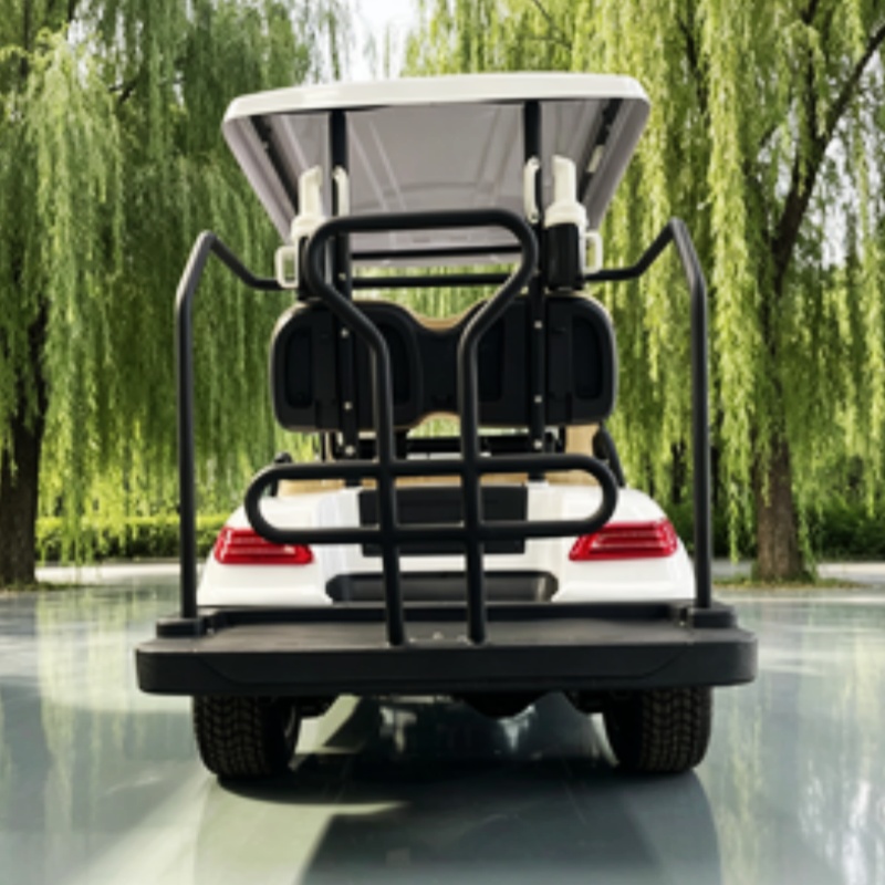 China Electric Golf Cart Lithi - Golf Bag Stand Cart review and price