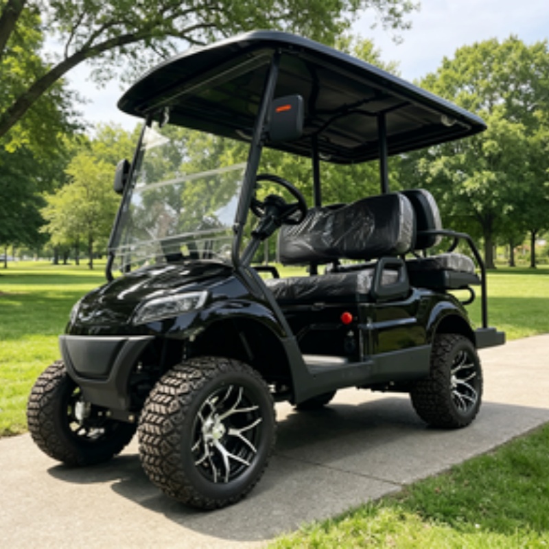 Golf Cart 2 Seater Electric Go - Golf Bag Stand Cart review and price