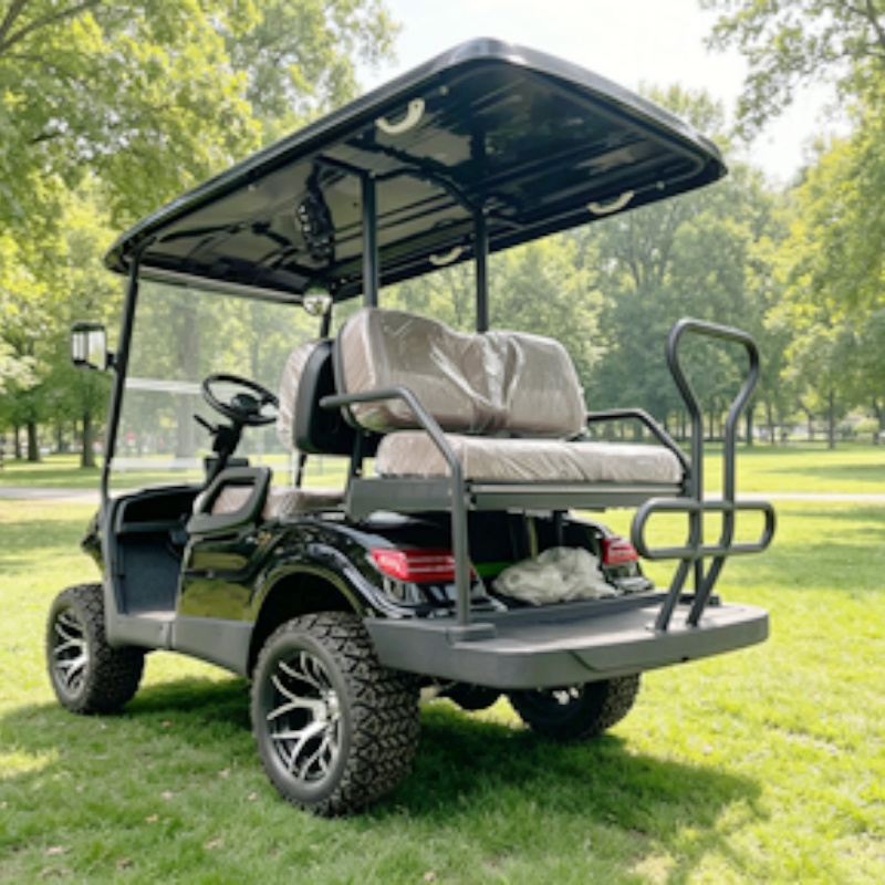 Golf Cart 2 Seater Electric Go - Golf Bag Stand Cart review and price