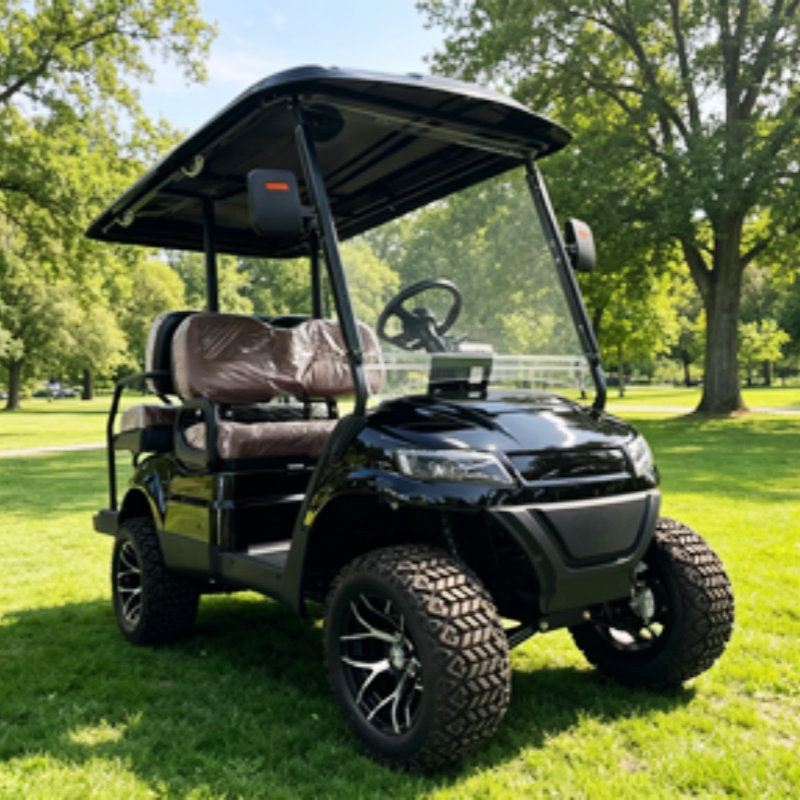 Golf Cart 2 Seater Electric Go - Golf Bag Stand Cart review and price