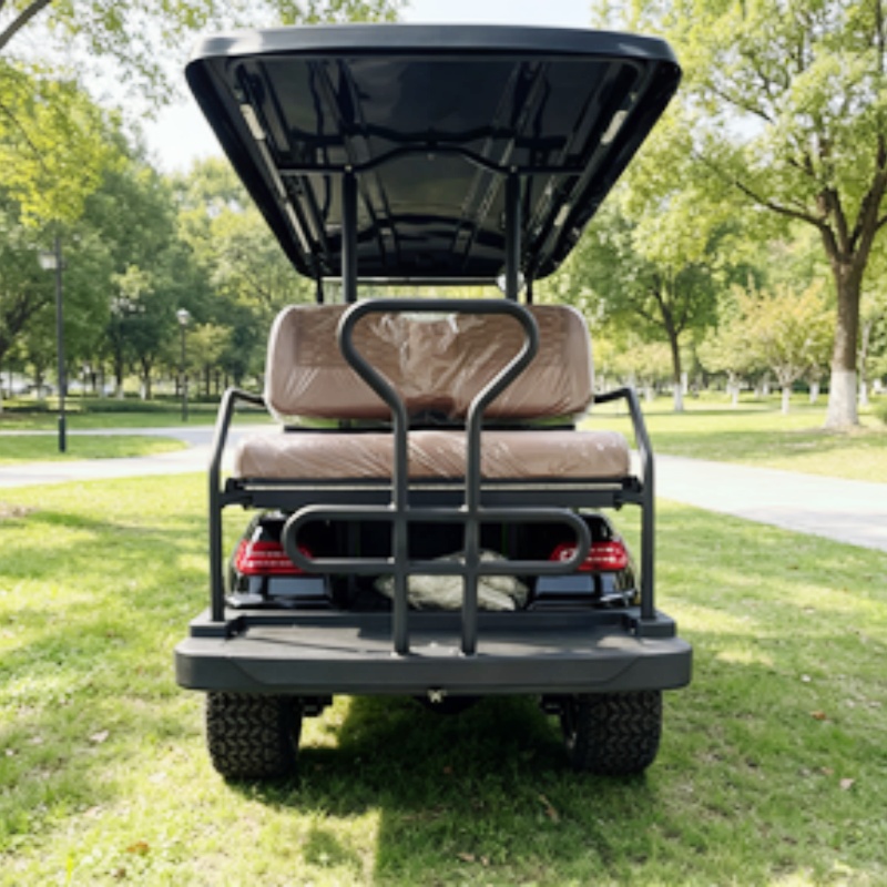 Golf Cart 2 Seater Electric Go - Golf Bag Stand Cart review and price