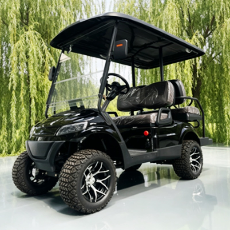 Lithium Battery Club 2 Seater  - Golf Bag Stand Cart review and price
