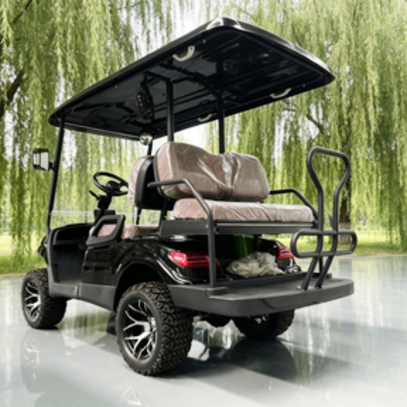 Lithium Battery Club 2 Seater  - Golf Bag Stand Cart review and price