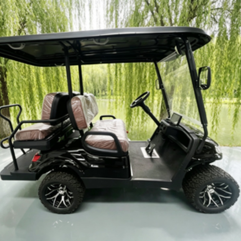Lithium Battery Club 2 Seater  - Golf Bag Stand Cart review and price