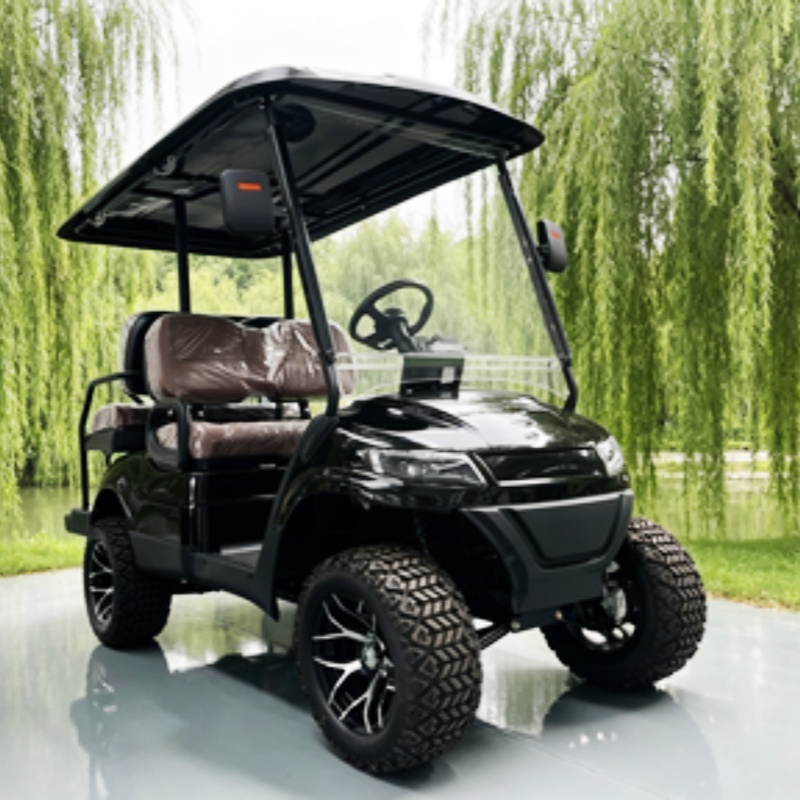Lithium Battery Club 2 Seater  - Golf Bag Stand Cart review and price